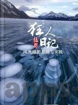 何姿跳水世界杯视频-何姿跳水世界杯视频，优雅与力量的完美融合