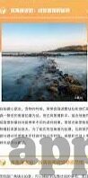 足球 蓝球 分析比分-绿茵与篮网间，足球与篮球比分分析的艺术